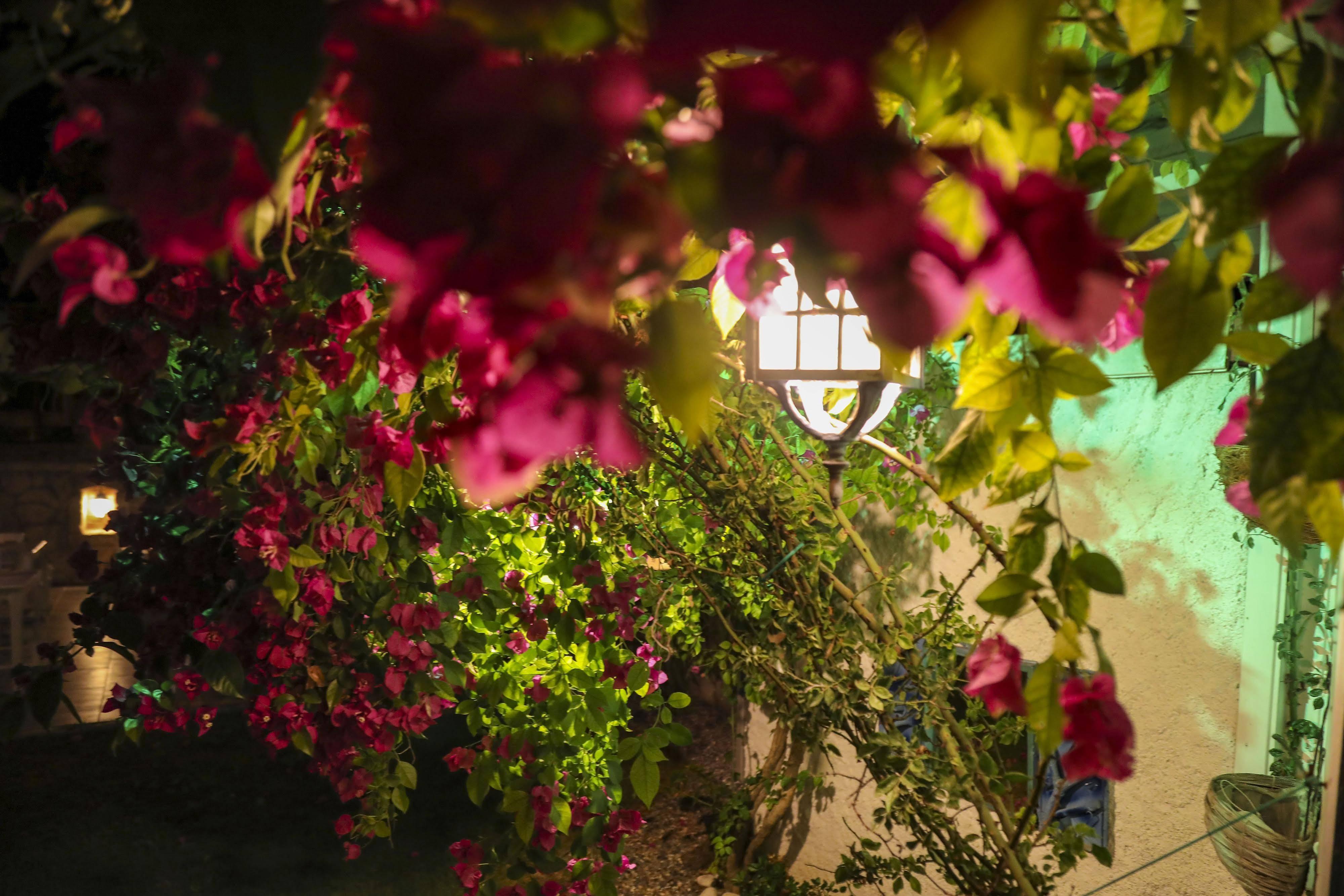Sari Gelin Alacati Hotel Екстер'єр фото